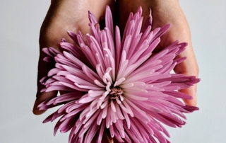 Making Love Bloom Again
