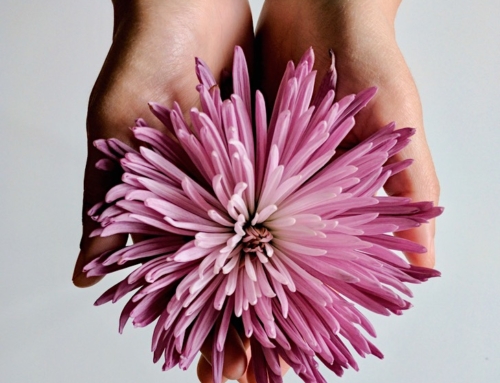 Making Love Bloom Again