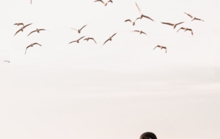 Healing from Relationship Trauma